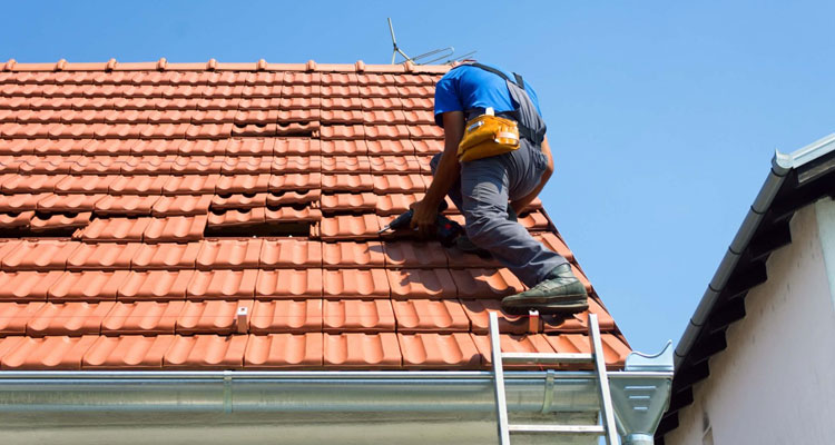 Best Roofing Company Beverly Hills